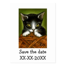 Playful kitten post card