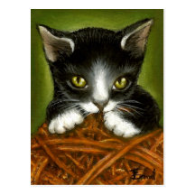 Playful kitten post card