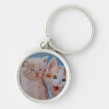 playful kittens keychains