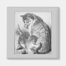 Playful Kitty Refrigerator Magnet