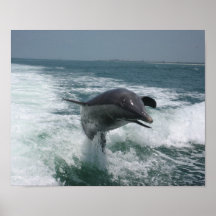 Playful Sanibel Waves Print