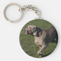 Playful Weimaraner Dog Keychain