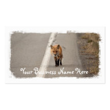 Playing Chicken with a Fox; Promotional Business Card Templates