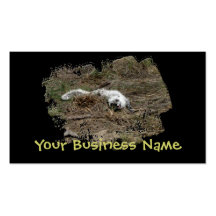 Playing in the Dust Business Cards