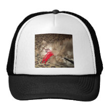 Playing Trucker Hats