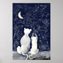 "Playing with Stars"