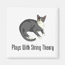Plays With String Theory Fridge Magnets