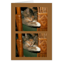 playtime over greeting cards
