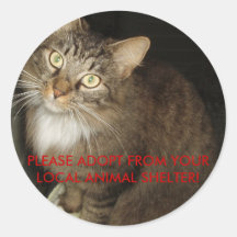 PLEASE ADOPT FROM YOUR LOCAL ANIMAL SHELTER! ROUND STICKERS