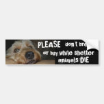 Please Dont Breed Or Buy While Shelter Animals Die Bumper Stickers