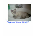 Please dont turn on the water! t-shirts