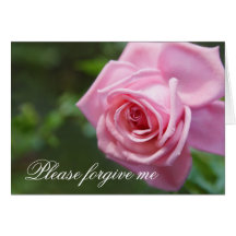 Please forgive me apology card with pink rose