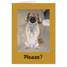 Please Forgive Me Card