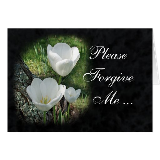 Please Me White Tulips Flower Zazzle