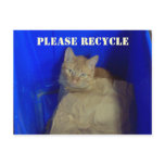 Please Recycle Postcard