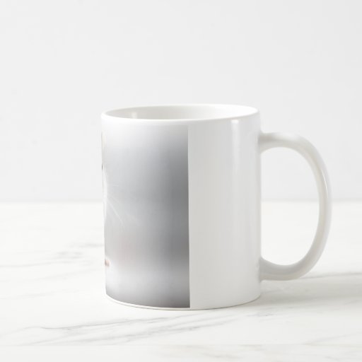 PLEASED TO MEET YOU MUGS