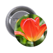 Pleine tulipe fleurie pin's