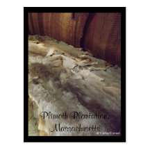 Plimoth Plantation, Massachusetts Post Card