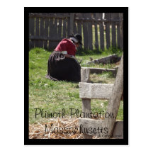 Plimoth Plantation, Massachusetts Post Card