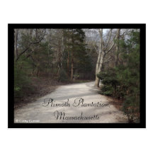 Plimoth Plantation, Massachusetts Post Card