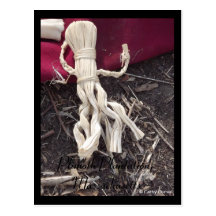 Plimoth Plantation, Massachusetts Post Cards