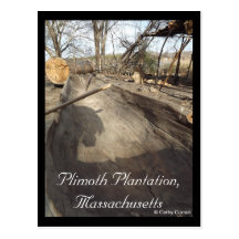 Plimoth Plantation, Massachusetts Postcard