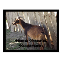 Plimoth Plantation, Massachusetts Postcards