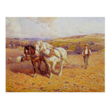 Ploughing Post Cards