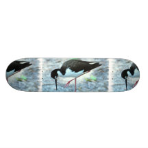 Plover Sketaboard Skateboard Decks