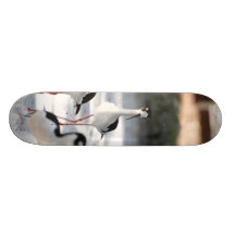 Plovers Skateboard