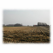 Plowed Field in Winter. Scenic. Acrylic Cut Out