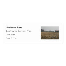 Plowed Field in Winter. Scenic. Business Cards