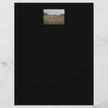 Plowed Field in Winter. Scenic. Custom Flyer
