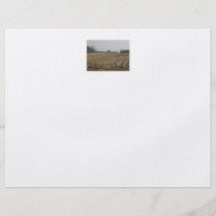 Plowed Field in Winter. Scenic. Personalized Flyer
