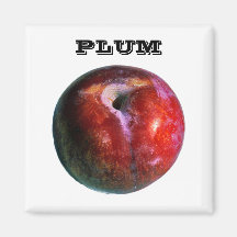 Plum - (Fridge Magnet Square)