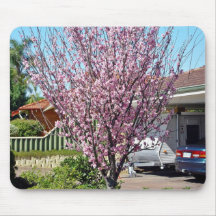 Plum tree in blossom with lavendar flowers mouse pads