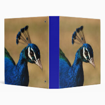 Plumage de paon - modèle personnalisable