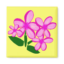 Plumaris ohana magnet