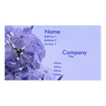 Plumbago Business Card Template