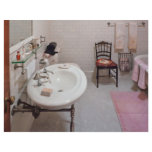 Plumber - The Bathroom flyers