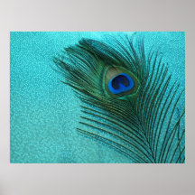 Plume bleue de paon d'Aqua métallique Affiche