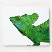 Plumed Basilisk Mouse Pads