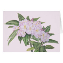 Plumeria doux cartes de vœux
