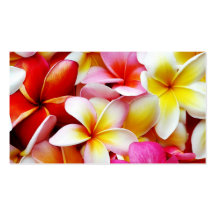 Plumeria Frangipani Hawaii Flower Customized Business Card Templates