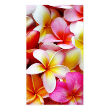 Plumeria Frangipani Hawaii Flower Customized Business Card Template