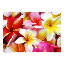 Plumeria Frangipani Hawaii Flower Customized Custom Invitations