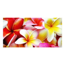 Plumeria Frangipani Hawaii Flower Customized Custom Photo Card
