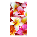 Plumeria Frangipani Hawaii Flower Customized Photo Cards