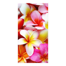 Plumeria Frangipani Hawaii Flower Customized Photo Cards