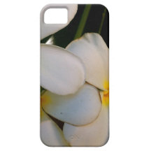 Plumeria iPhone 5 Case